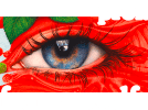 Franz Wolf