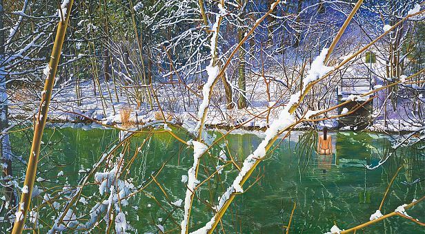 Das Hinaussein über die Bestimmtheit der Erscheinung