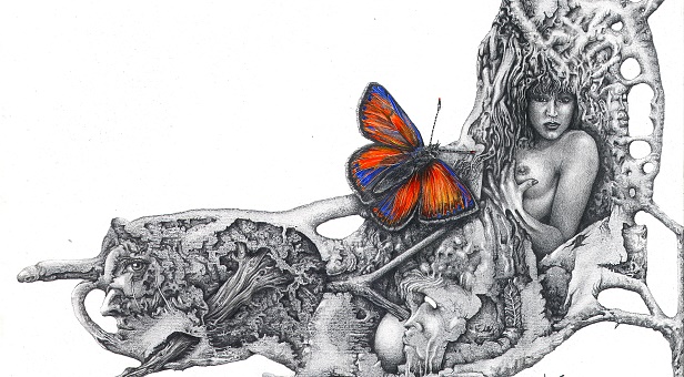 Versuch einer Bestäubung