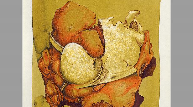 Siegfrieds Brustpanzer