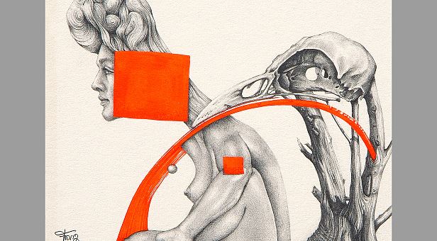 Stammbaum zum Quadrat