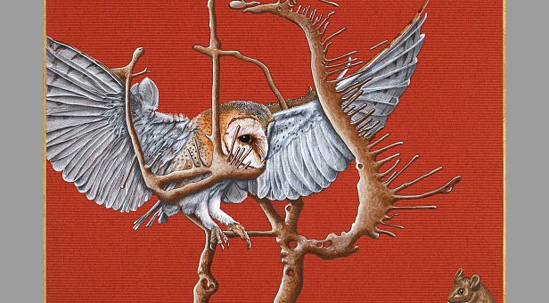 Macht der Transformation